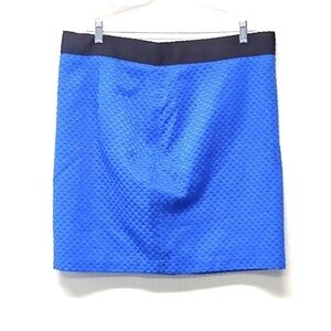 Worthington - women's Blue skirt - Size: 16.